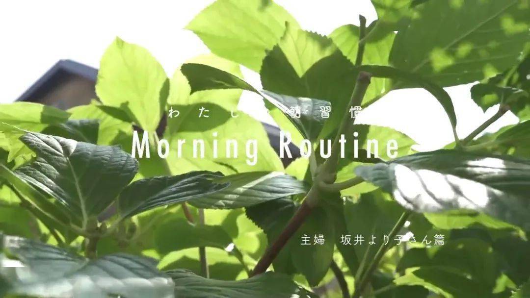 何懼變老！日本74歲主婦「5點起床做飯」與老公分床睡　生活曝光「卻被10萬人大呼羨慕」：神仙生活
