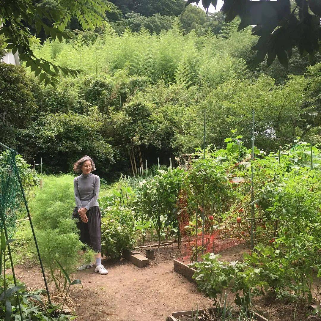 何懼變老！日本74歲主婦「5點起床做飯」與老公分床睡　生活曝光「卻被10萬人大呼羨慕」：神仙生活