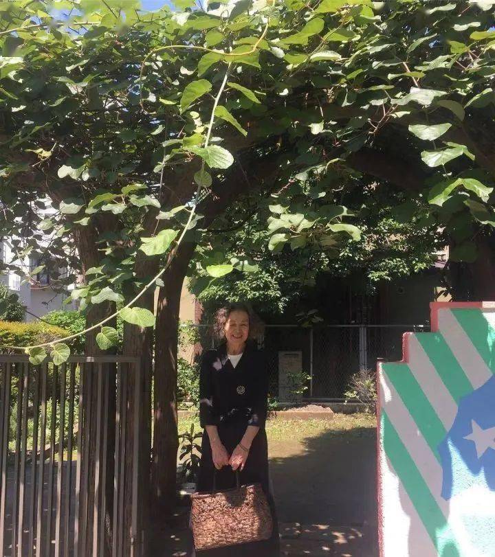 何懼變老！日本74歲主婦「5點起床做飯」與老公分床睡　生活曝光「卻被10萬人大呼羨慕」：神仙生活