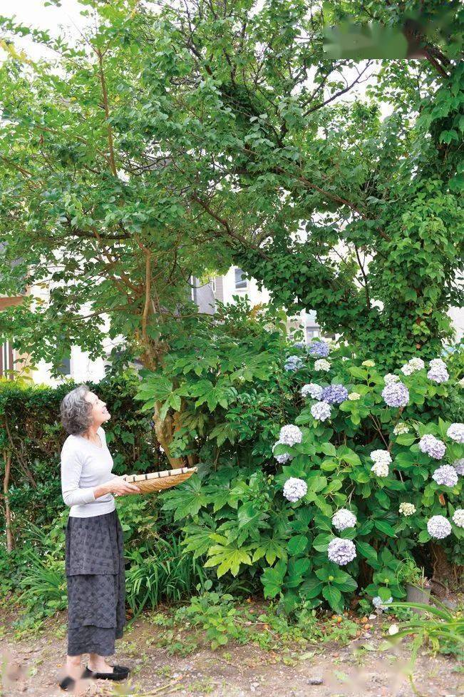 何懼變老！日本74歲主婦「5點起床做飯」與老公分床睡　生活曝光「卻被10萬人大呼羨慕」：神仙生活