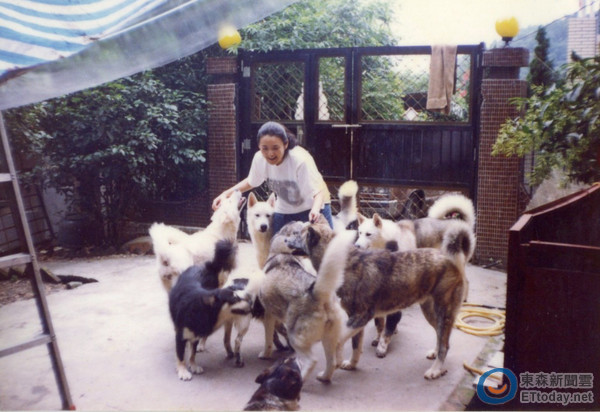 一頭熱做愛心！譚艾珍「把70隻流浪動物救回家」搞到傾家蕩產　「老公臨終前交代」她頓時驚醒：要適可而止