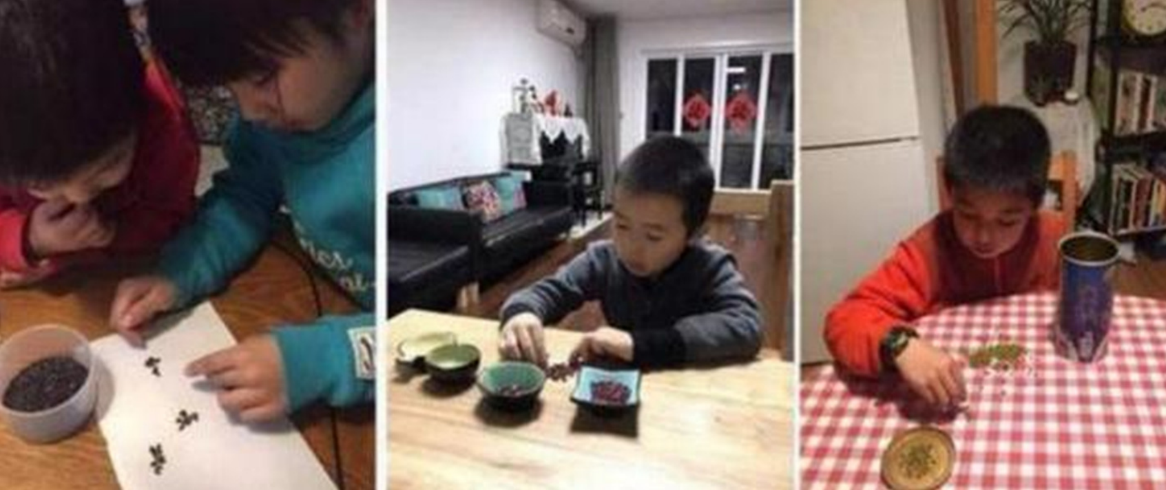 數到凌晨！老師叫學生課後「算一萬顆豆」　爸爸「興師問罪」卻被老師當場打臉：荒唐的是你
