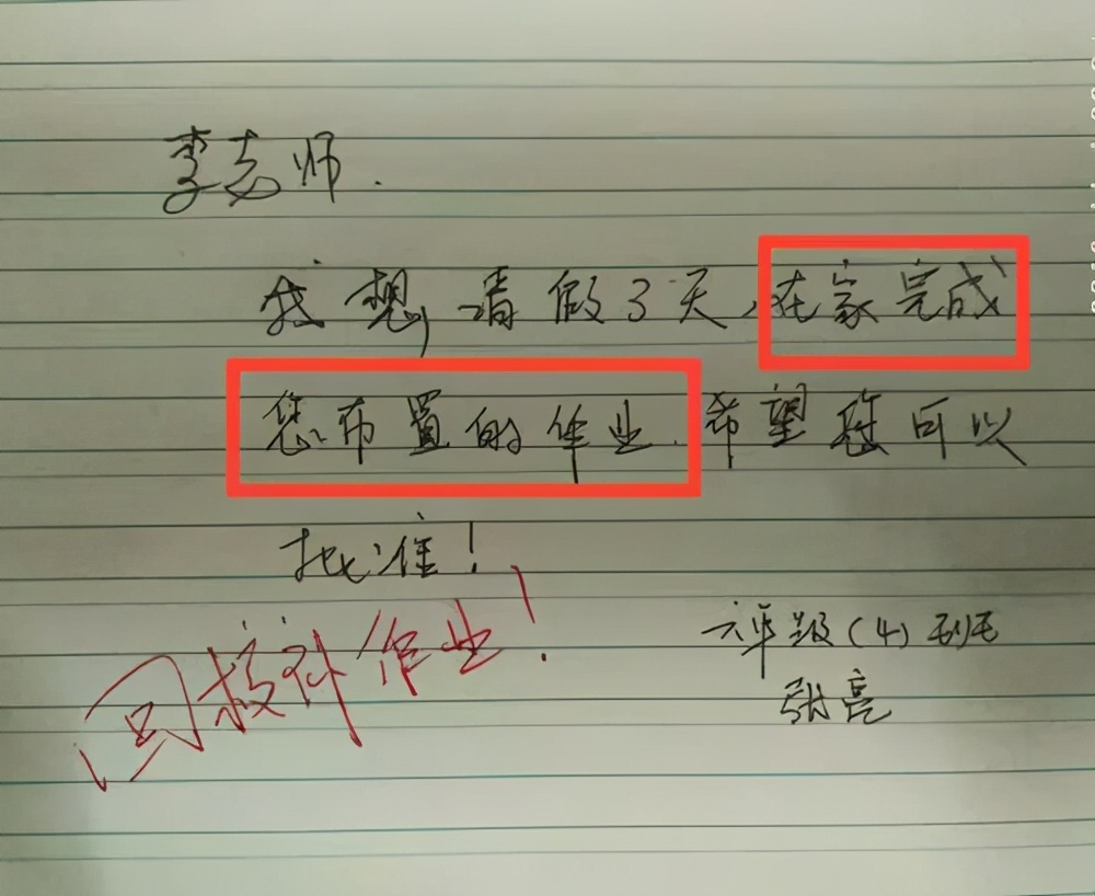 神級請假條！國小生想看「母狗生小狗」請假1天　老師看一眼「直接駁回」：你的名字不合適 