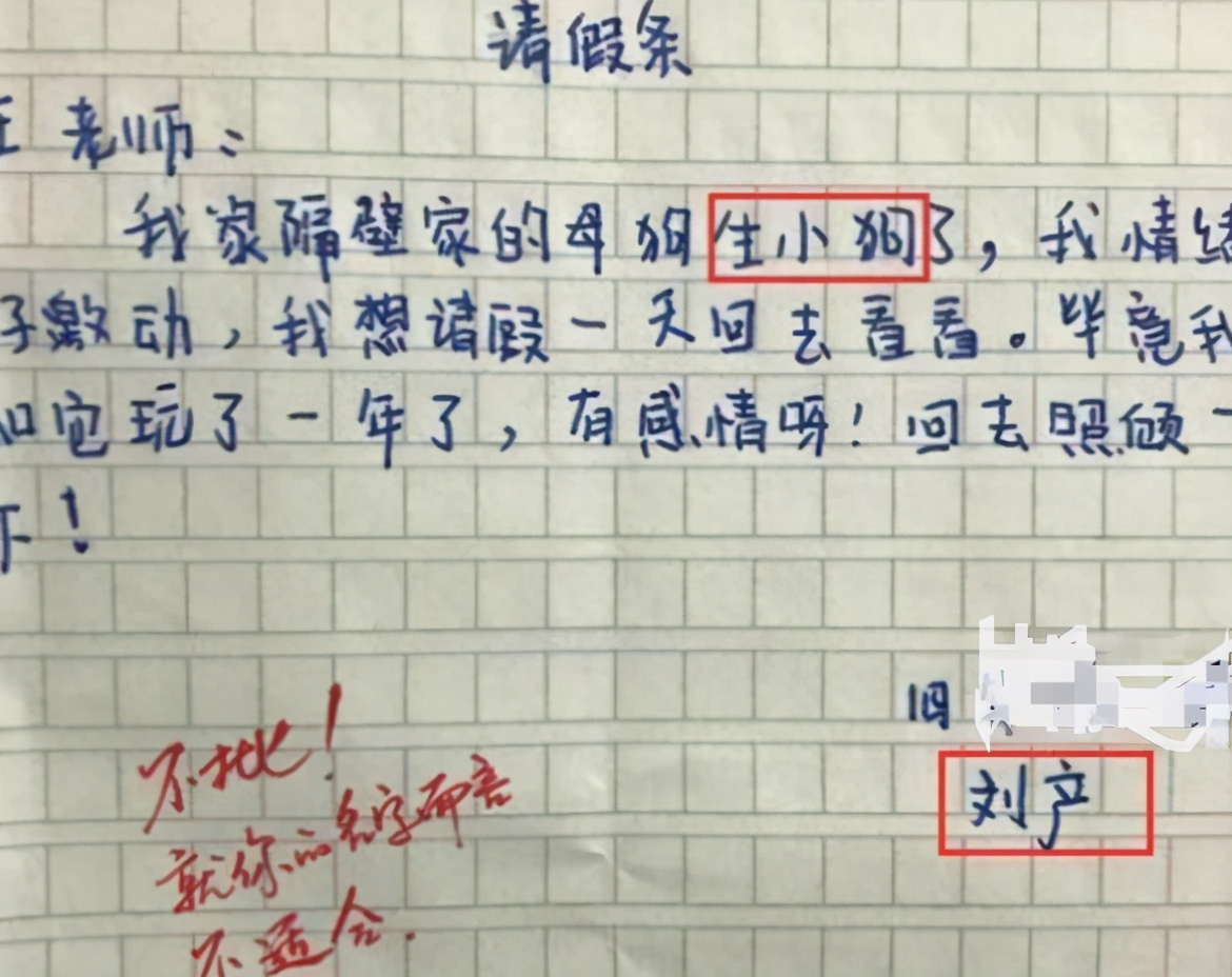 神級請假條！國小生想看「母狗生小狗」請假1天　老師看一眼「直接駁回」：你的名字不合適 