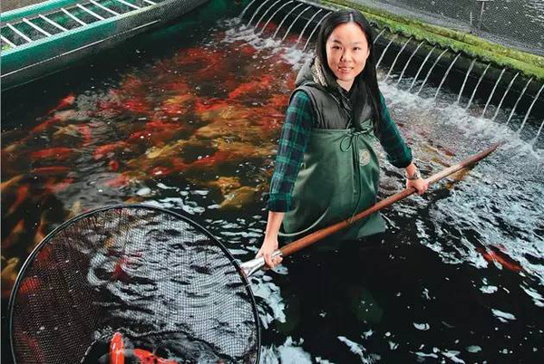 富商父親欠2億巨債！學霸女中途「輟學回台養魚」替父還債　「一條魚賣6514萬」橫掃歐美市場