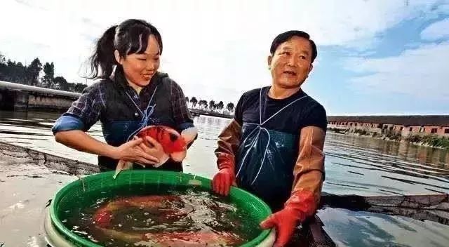 富商父親欠2億巨債！學霸女中途「輟學回台養魚」替父還債　「一條魚賣6514萬」橫掃歐美市場