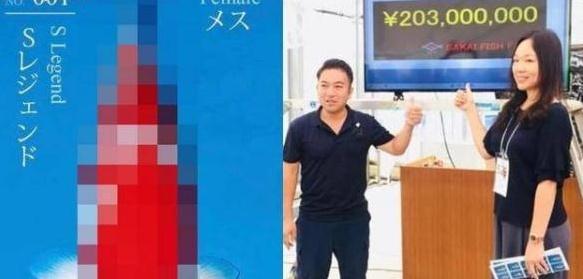 富商父親欠2億巨債！學霸女中途「輟學回台養魚」替父還債　「一條魚賣6514萬」橫掃歐美市場