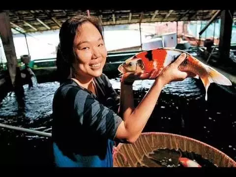 富商父親欠2億巨債！學霸女中途「輟學回台養魚」替父還債　「一條魚賣6514萬」橫掃歐美市場