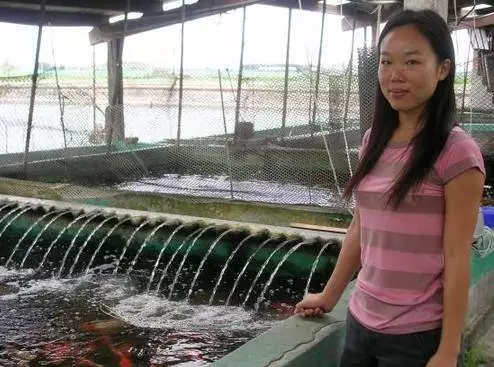 富商父親欠2億巨債！學霸女中途「輟學回台養魚」替父還債　「一條魚賣6514萬」橫掃歐美市場