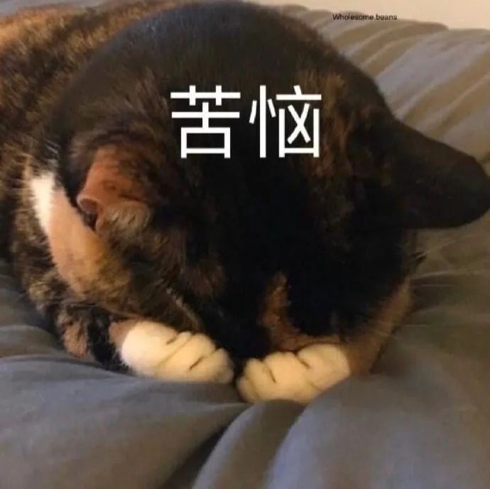 淪為平民？32歲梁洛施「穿廉價衣物」被網友說生活凄慘 　兩年生仨娃「卻無法嫁入豪門」