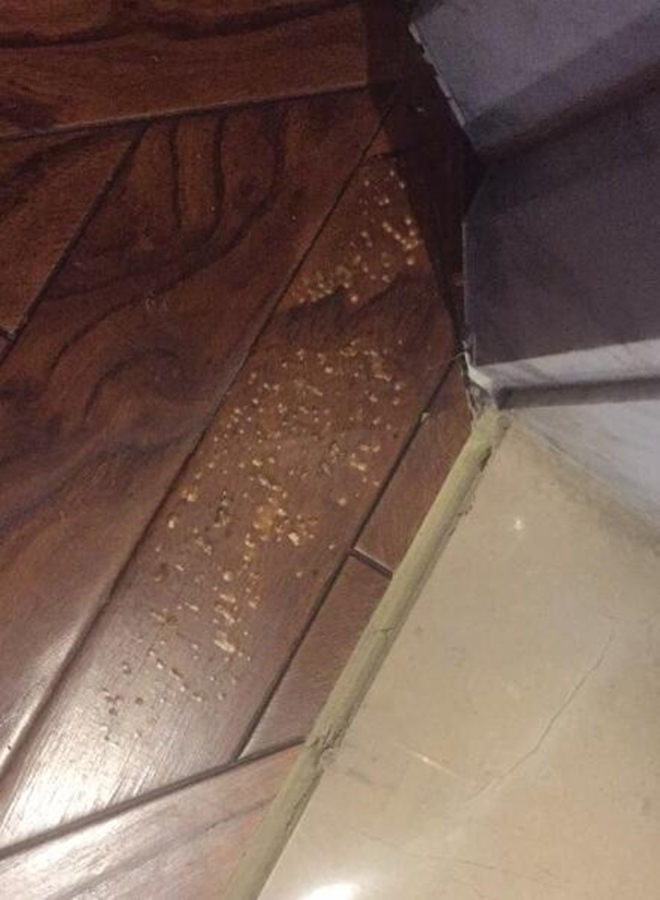 600萬剛買的新房！女業主發現「牆角長蘑菇」動手直接拔掉　幾天後再看全身雞皮疙瘩：有不好的東西