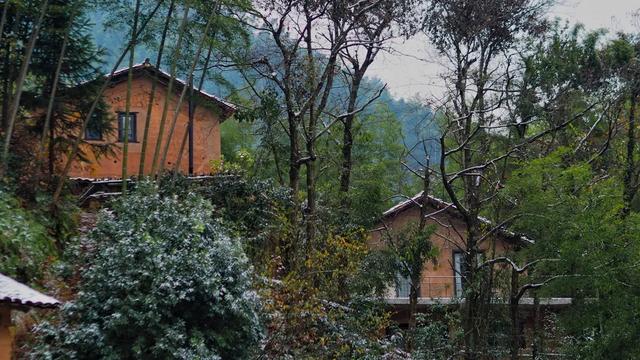 被遺忘的村落！她來到「擁有600年歷史古村」打造鄉間民宿　與大自然結合「每天一打開窗」美到像仙境