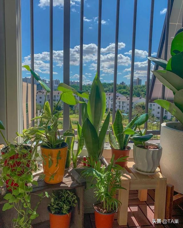 自己的小天地！她獨居「11坪小房」裝潢超溫馨　「角落擺滿最愛」一個人住超爽