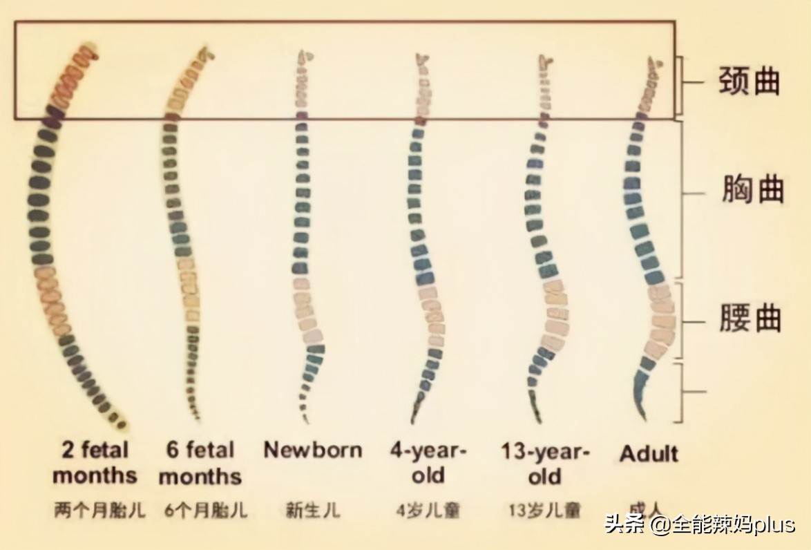 父母要留心！從小「睡枕頭」和「不睡枕頭」的孩子　成年後差別不止一點點！對照一下