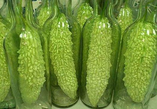 村裡人看不懂！菜農「給苦瓜套玻璃瓶」遭嘲笑傻　數月後賣出「價格翻10倍」被紛紛效仿