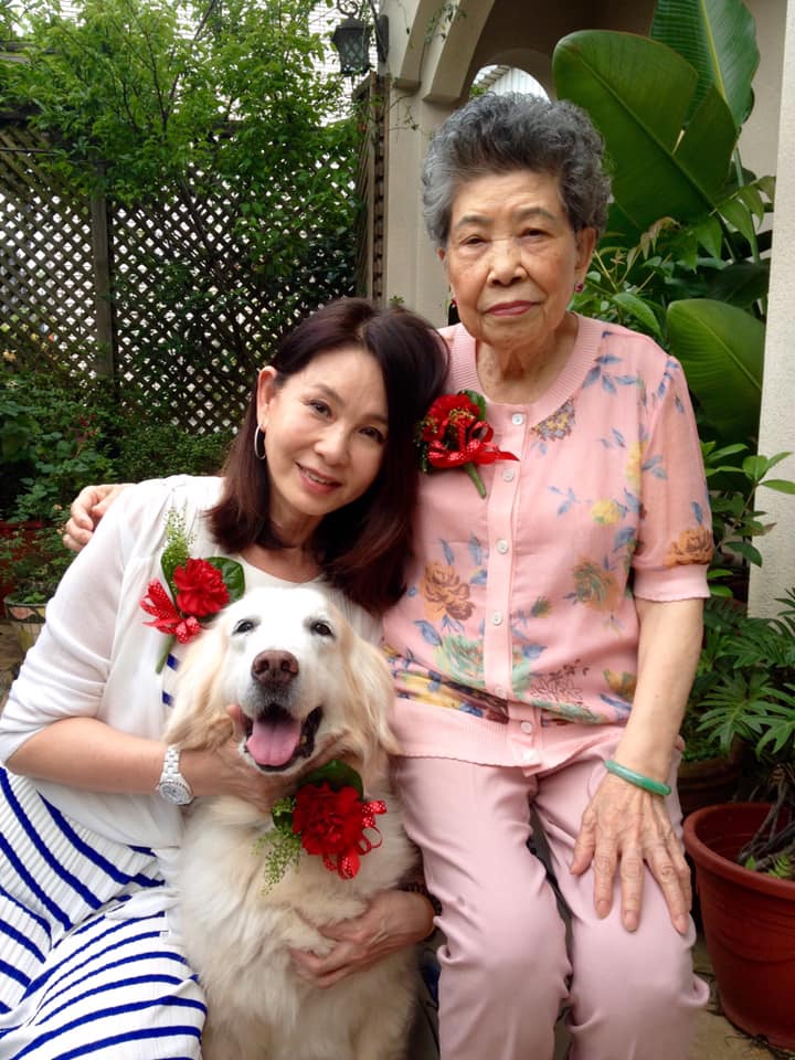 喪父又試管失敗！周丹薇陷憂鬱「80歲老母三步九叩」求她振作　痛哭懺悔「我讓她失望了」再無法盡孝
