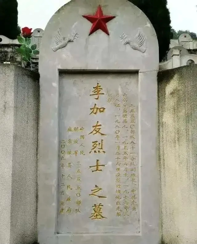 每逢清明倍思親！106歲嬤跨400公里上山「只為見長眠獨子」　看見照片瞬間潰堤「再也聽不到你喊媽」看哭全網
