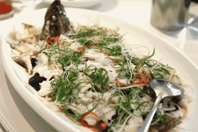 釣到就翻身！一條亞洲鯉魚「懸賞金高達2180萬」　被澳洲全國「通緝」身份不一般