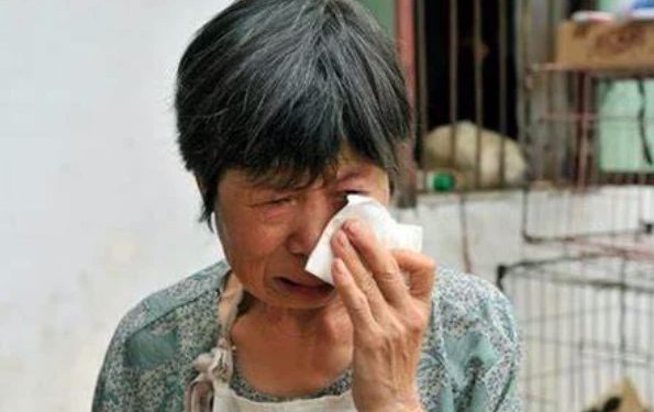 沒錢治病！年老母親向「年薪260萬兒子」求助卻被拒絕　面對質問「兒子道出實情」反獲全網支持