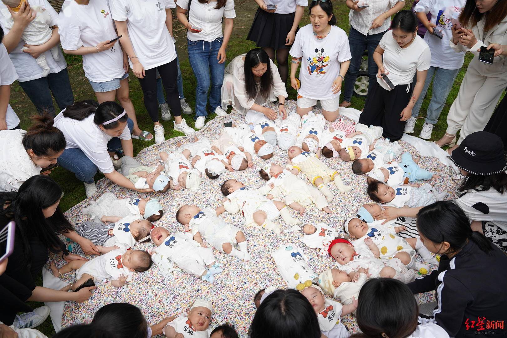 同一家醫院出生！33個寶寶集體拍「百日合照」躺一圈　下秒「場面失控」網笑翻：右下偷偷親一起啦