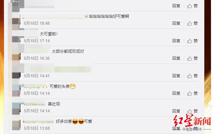 同一家醫院出生！33個寶寶集體拍「百日合照」躺一圈　下秒「場面失控」網笑翻：右下偷偷親一起啦