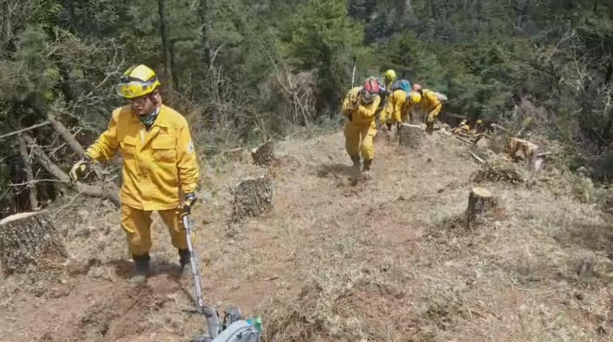 苦拚8天守住啦！玉山大火災「森官員3千公尺不休搶救」全靠意志力堅持　「累垮仍高喊守住防線」英勇畫面惹淚