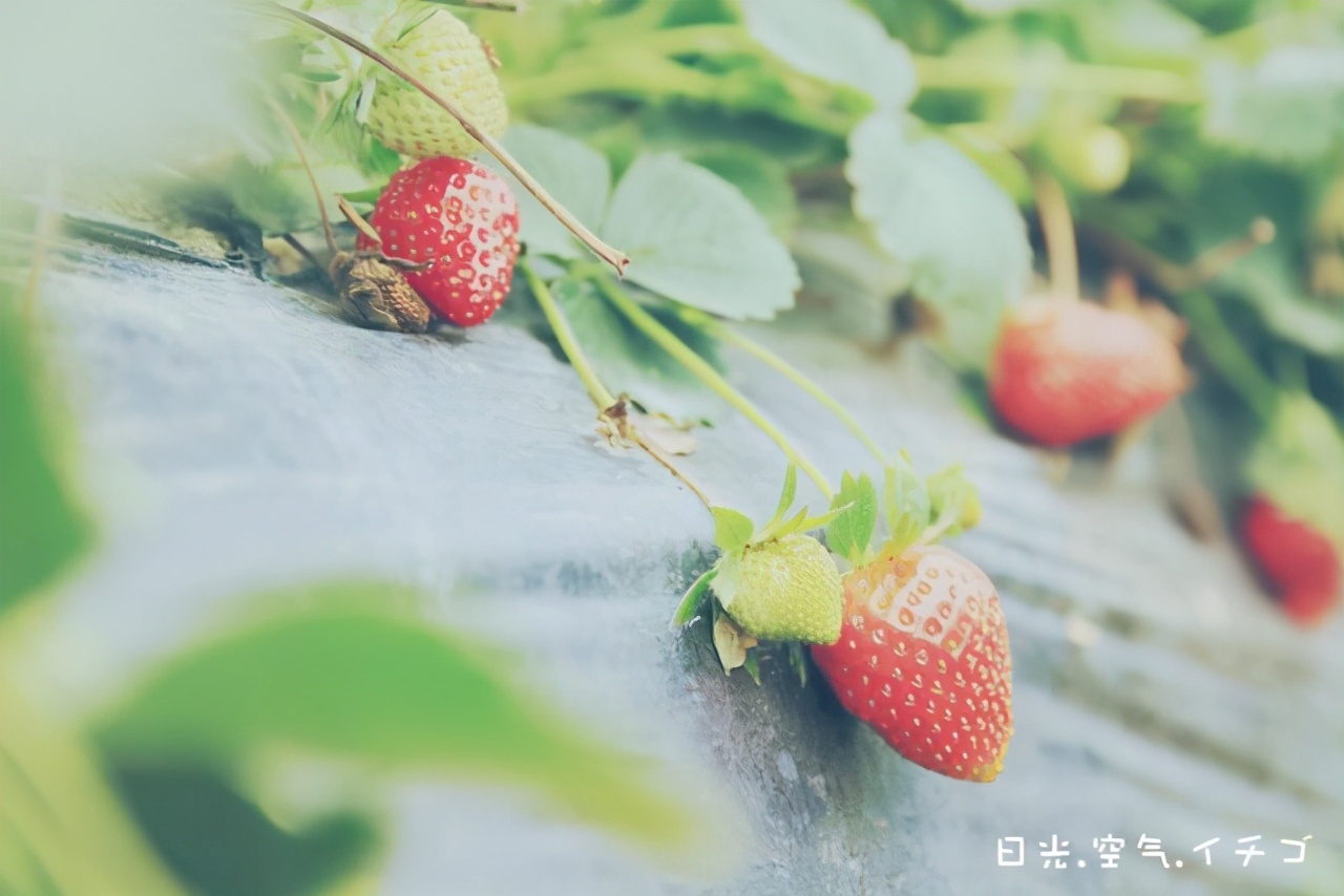 挑老公要謹慎！只顧自己「不懂心疼老婆」的3大星座男　雙魚座婚前婚後根本「兩張臉」