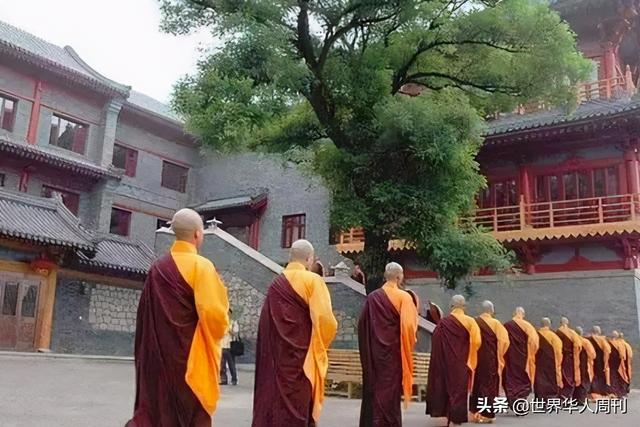 後來怎麼了！名校才子當年「棄麻省理工百萬獎學金」堅持出家　8年後近況曝光「一心為世人奉獻」