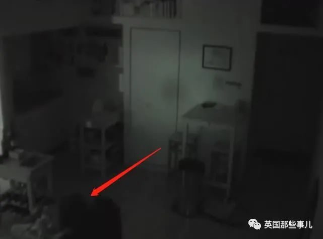 冰箱食物總離奇消失！男主人家中「裝攝像頭」查真相　調閱監控卻被「自己起夜畫面」嚇傻：根本恐怖電影