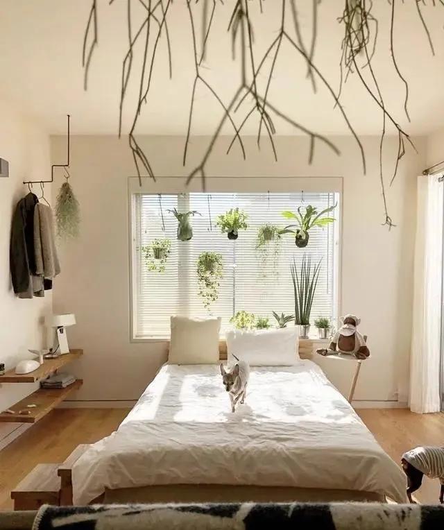 身高僅120公分！28歲袖珍女孩「求職處處碰壁」被笑從不放棄　人小志氣高「靠自己買下第一棟房」活出漂亮人生