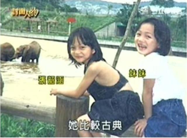 張韶涵的前塵往事！患病後被家人「捲走全部財產」閨蜜趁機上位　沉寂多年「重回頂峰」