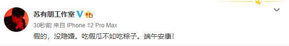 隱婚10年？蘇有朋被曝「秘戀白富美」女方長相美艷氣質不輸林心如　曾承認對趙薇心動