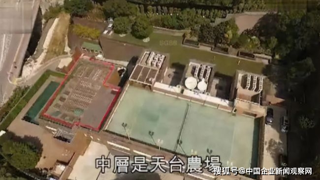 幾乎不用出門！66歲林青霞「11億豪宅」大如皇宮　家裡有球場和菜園「3個傭人」為其梳妝