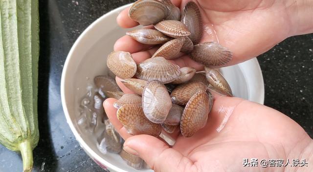 天氣熱沒食慾？試試清爽料理「絲瓜配蛤蜊」　多汁味美「新手也能快速上手」營養又下飯