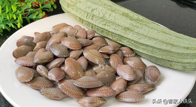 天氣熱沒食慾？試試清爽料理「絲瓜配蛤蜊」　多汁味美「新手也能快速上手」營養又下飯
