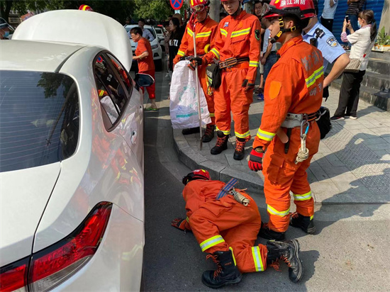 剛到單位準備停車！女車主突然發現「車頭不對勁」　她湊近看清後「嚇得立馬報警」：雞皮狂起
