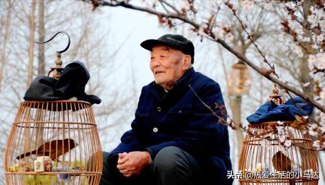 終於能好好維繫！71歲爺爺退休後「到處拜訪親友串門子」　久而久之「問題卻變得更多」嘆：晚年該學著獨處