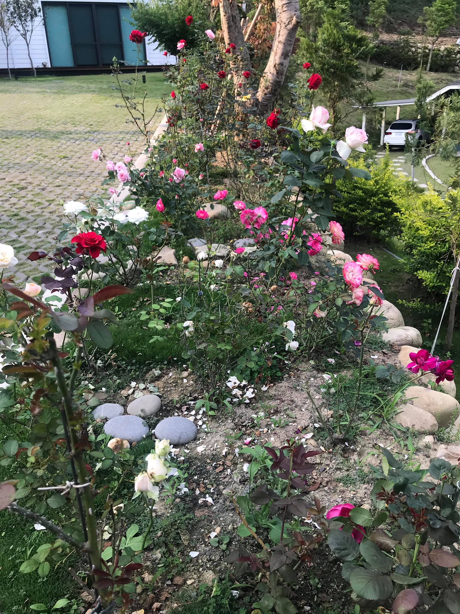 黃雅珉苗栗置產！和老公享受清幽環境「蓋院子種花種水果」　曝「55歲主婦近況」放手讓兒子闖蕩演藝圈