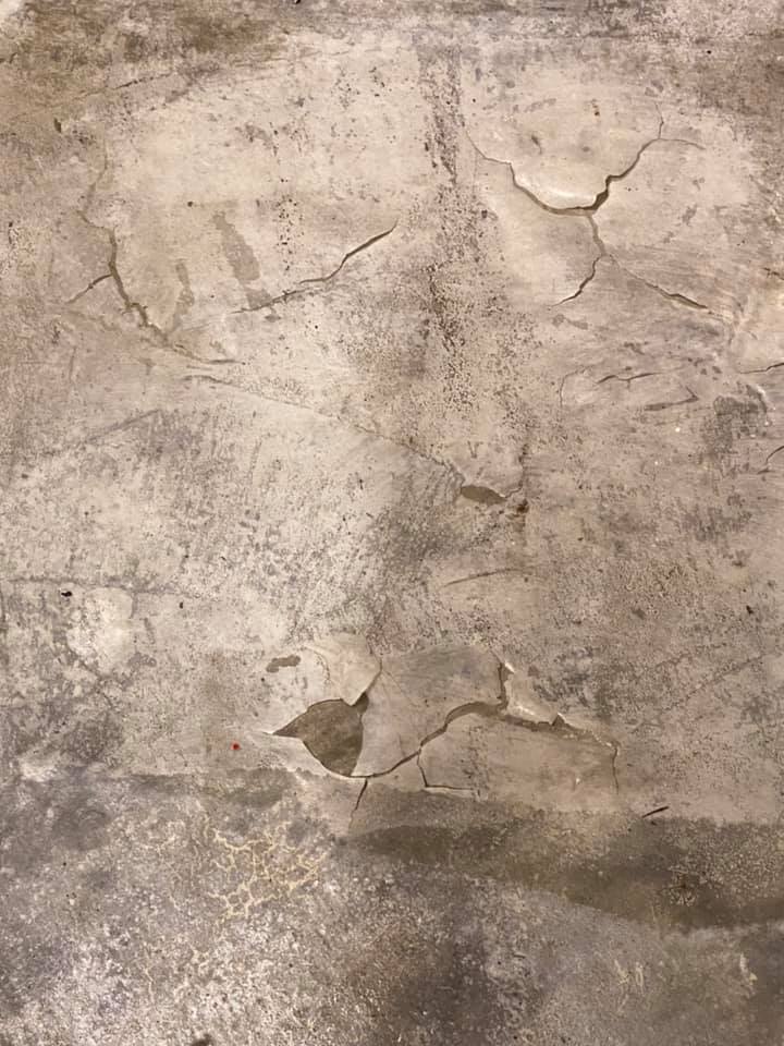 貸款千萬開店!苗可麗崩潰「遇到爛尾裝潢」地板全破裂 快哭了「20年夢想全毀」:看清朋友了