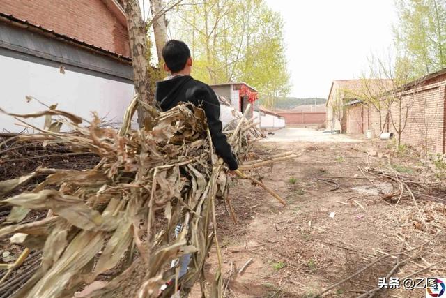 好不容易享清福！老奶奶晚年「兒子兒媳雙雙離開」留下3歲孫　祖孫相依為命「慶幸孫子孝順懂事」