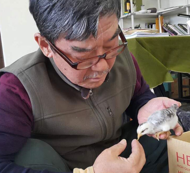 不與兒女同住！李立群「新竹山上買地蓋房」早起養雞種菜　「與太太享受山居生活」笑喊：連空氣都是甜的