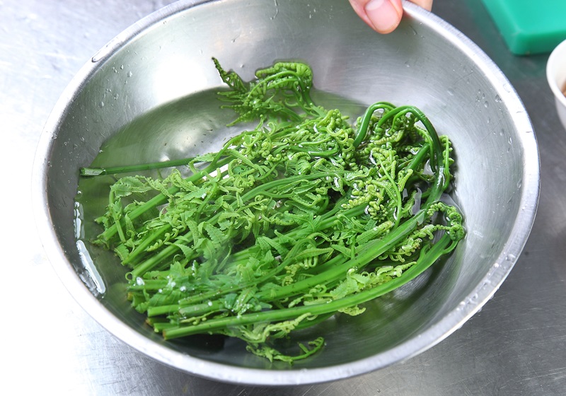 長在山裡不起眼？他PO照問「這款稀有野菜」是什麼　網友狂推「近年超受歡迎」：涼拌最美味