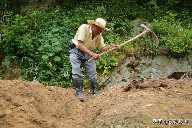 獨居很寂寞？79歲爺爺「老伴離去兒孫出外」　選擇留在山中「獨住豪華別墅」幸福自在