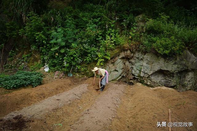 獨居很寂寞？79歲爺爺「老伴離去兒孫出外」　選擇留在山中「獨住豪華別墅」幸福自在
