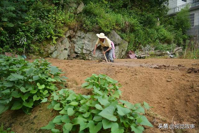 獨居很寂寞？79歲爺爺「老伴離去兒孫出外」　選擇留在山中「獨住豪華別墅」幸福自在