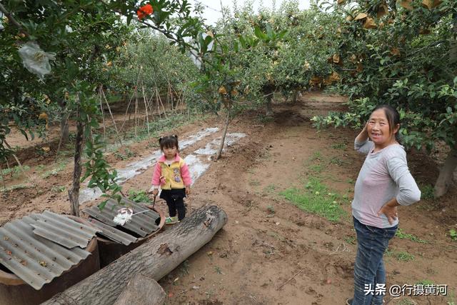 跟著阿嬤2年！小孫女住農村「餓了摘樹上水果吃」　吃飽穿暖「她突然提起媽媽」嬤心酸：讓你受罪了