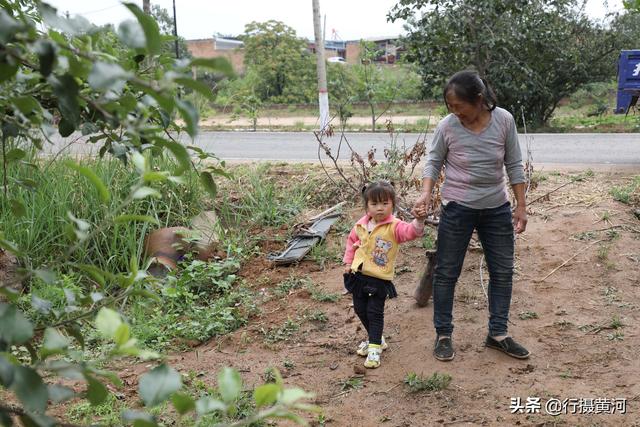 跟著阿嬤2年！小孫女住農村「餓了摘樹上水果吃」　吃飽穿暖「她突然提起媽媽」嬤心酸：讓你受罪了