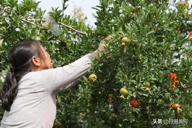 跟著阿嬤2年！小孫女住農村「餓了摘樹上水果吃」　吃飽穿暖「她突然提起媽媽」嬤心酸：讓你受罪了