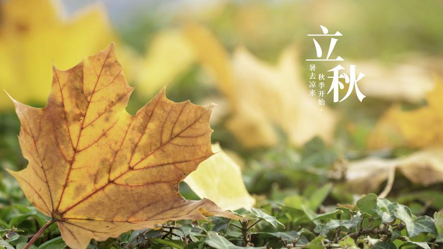立秋陰氣重！8/7「一定要早起」祭拜許願　「能讓你旺運到年底」真的靈