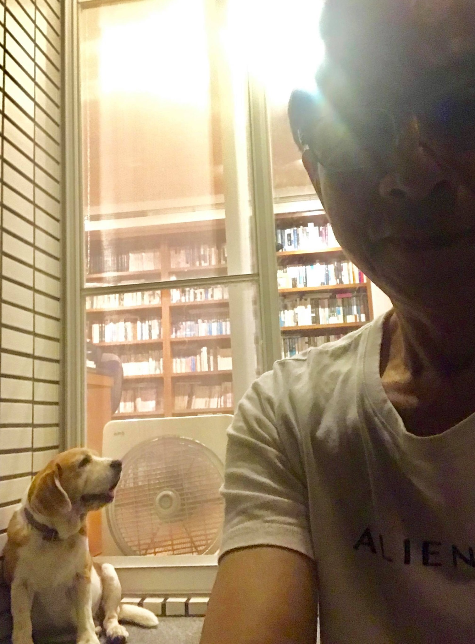 早交代兒子後事！吳念真回想6年前意外「被發病危通知」世事好無常 　「要子孫不用來掃墓」：只要心裡有我就夠了